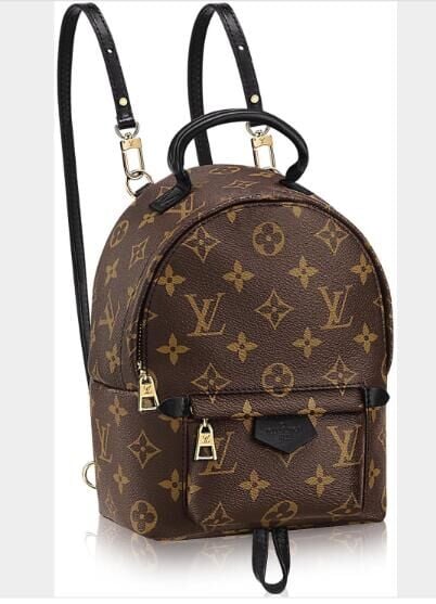 Louis Vuitton Palm Springs Backpack Mini